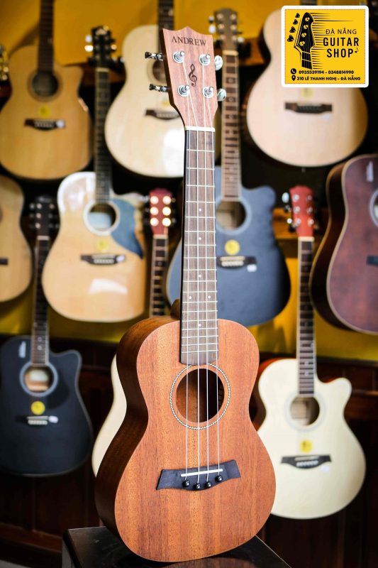 UkuleleConcert 5 optimized min