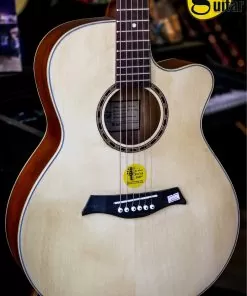 Guitar NT A20 2