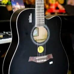 dan guitar rosen r1351