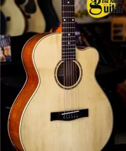 Đàn guitar NT A20