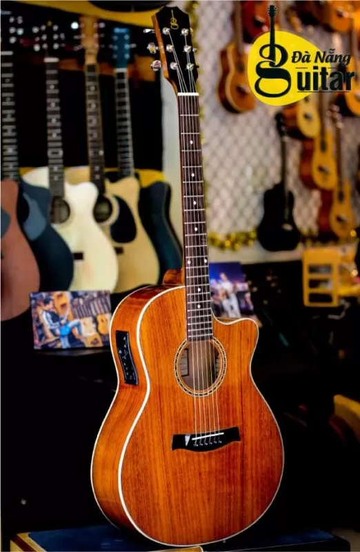 Đàn Guitar NT- A25 EQ tại guitar shop chất lượng