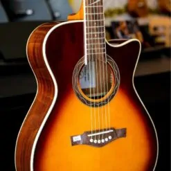 guitar eko